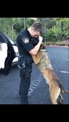 * Más Allá de la Despedida: Cuando la Amistad Eterna Trasciende al Reencuentro Celestial