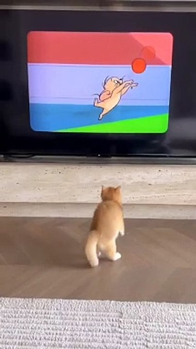 Cartoon lover