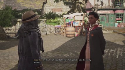 Hogwarts Legacy Hogsmeade Troll Fight