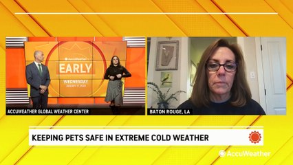 How to keep your pets safe during extreme cold