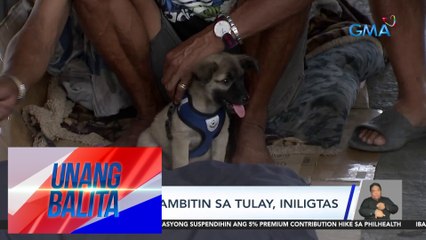 Babae Nasagip mula sa Pagtatambak sa Tulay 🚒