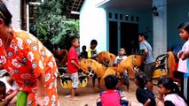 BARONGAN  KUDALUPING ANAK ANAK GENERASI PENERUS KESENIAN TRADISIONAL (8)