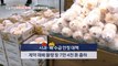 [HOT] Discount on Snowy Agricultural Products?!,생방송 오늘 아침 240118