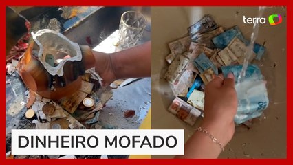 Família leva susto ao quebrar cofre e descobrir que o dinheiro estava mofado