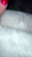 Sleeping Dog Sounds Like Engine Cranking