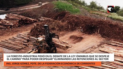 La foresto-industria pidió en el debate de la ley Ómnibus que se despeje el camino “para poder despegar” eliminando las retenciones al sector