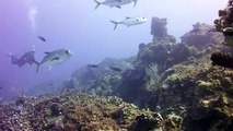 SCUBA diving in Cozumel