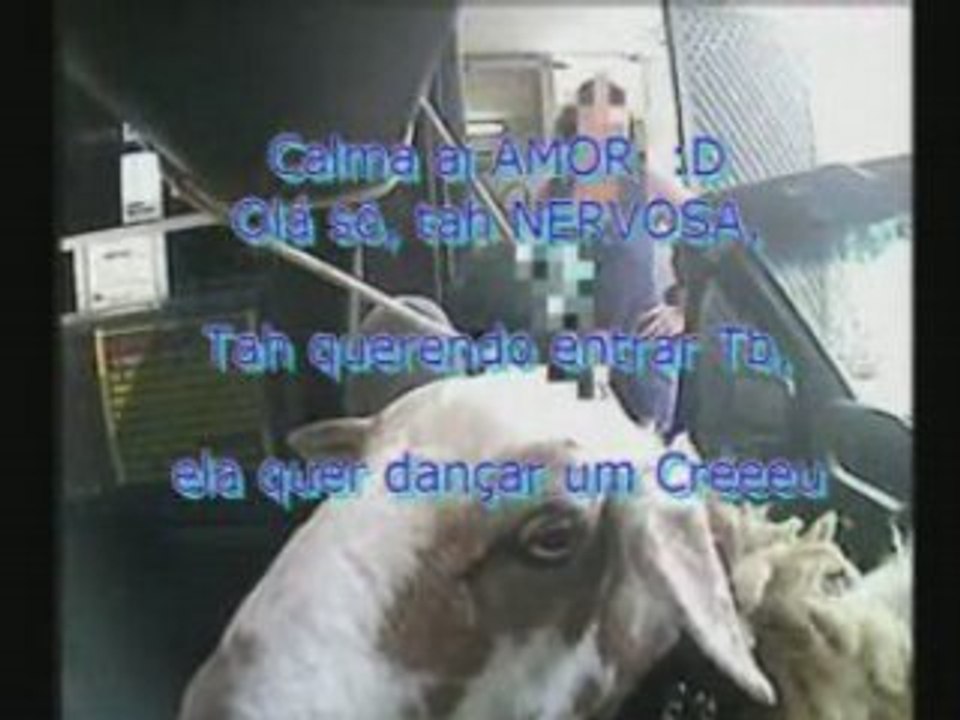 SLADE e WM no motel