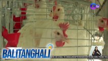 Dept. of Agriculture: Pag-import ng live birds at poultry products sa California at Ohio, USA, bawal muna dahil sa bird flu outbreak doon | BT