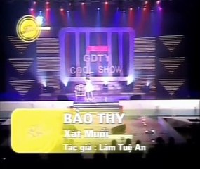 Xin Đừng Xát Muối Trái Tim Em - Bảo Thy