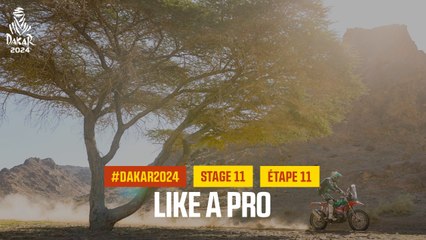 Like a pro - Stage 11 - #Dakar2024