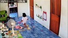 Dev kertenkele korku dolu anlar yaşattı!