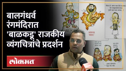 व्यंगचित्रकार अमित पापळ यांच्या राजकीय व्यंगचित्रांच्या प्रदर्शन