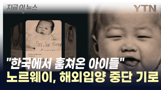 '해외입양 중단' 검토하는 노르웨이...'한국에서 훔쳐온 아이들' 보도가 기폭제 [지금이뉴스] / YTN