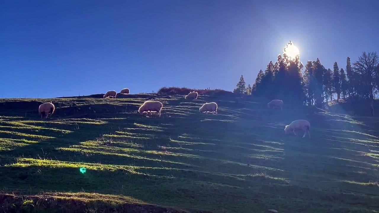 Vídeo de Monte Pavón