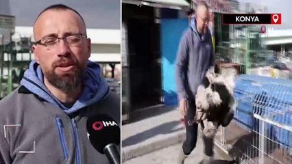 Konya'da gezen tavuk olsun diye tavuklarını otomobille gezdiriyor