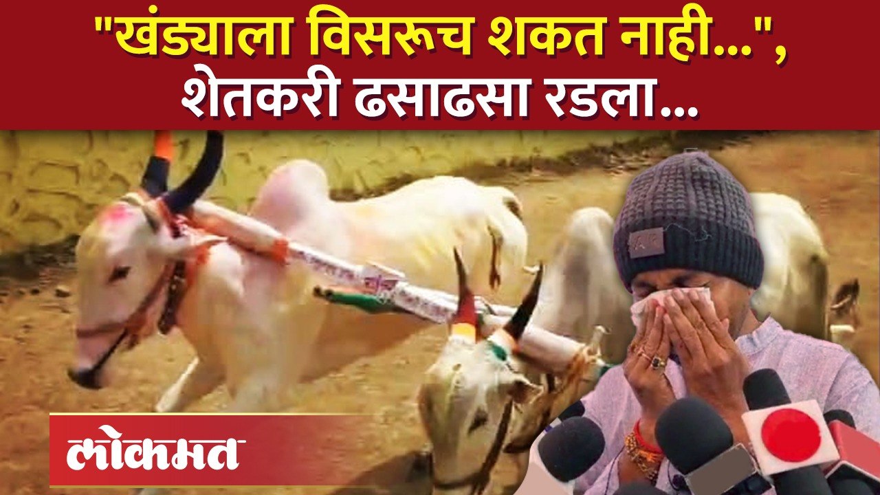 'शर्यत पूर्ण केली, घाटाचा राजा ठरला मात्र अखेरीस घात झाला..', शेतकऱ्याची 'खंड्या'बद्दल अशी ही कृतज्ञता..