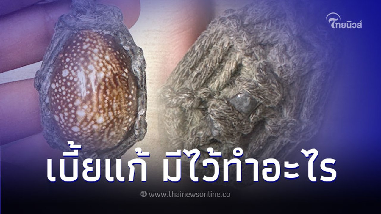 เบี้ยแก้ วัตถุมงคล ตามความเชื่อมีไว้ทำอะไร