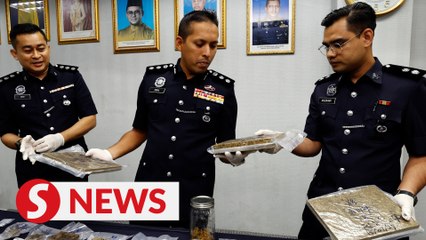 Four arrested in Shah Alam for selling ganja online