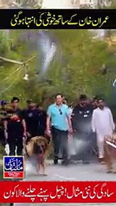 Imran Khan King