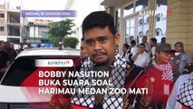 Bobby Nasution Jawab Desakan Medan Zoo Tutup Usai Kasus Harimau Mati