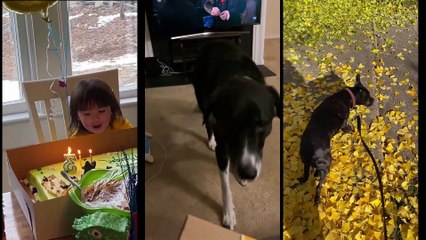 The Beginner's Guide to Spinning in Loops | movie | 2022 | Official Trailer