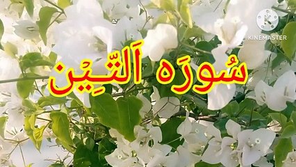 Surah At Tin | Tilawat surah At Tin | Learn Quran