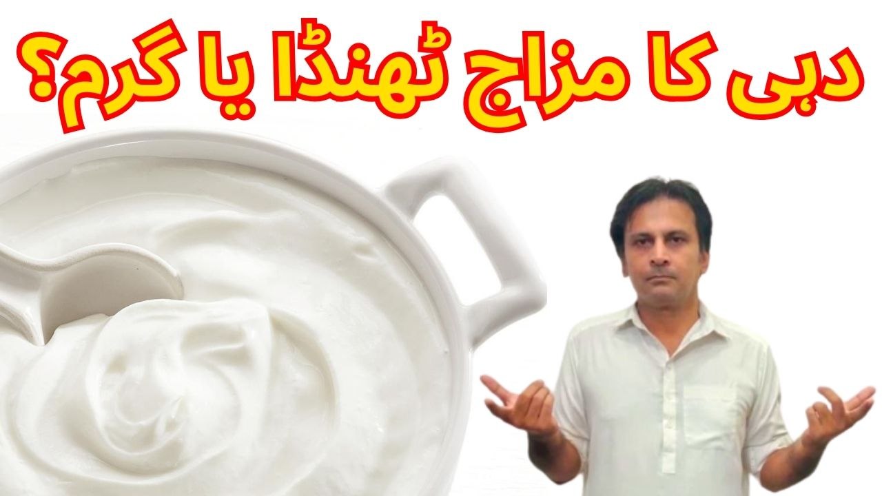 Dahi ka mizaj thanda ya garam | Dahi khaane ke fayde | Dahi ke fayde | Arshad Mens Health Channel