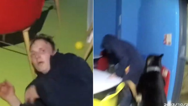 Watch police dog hunt down bungling burglar hiding in children’s soft play area