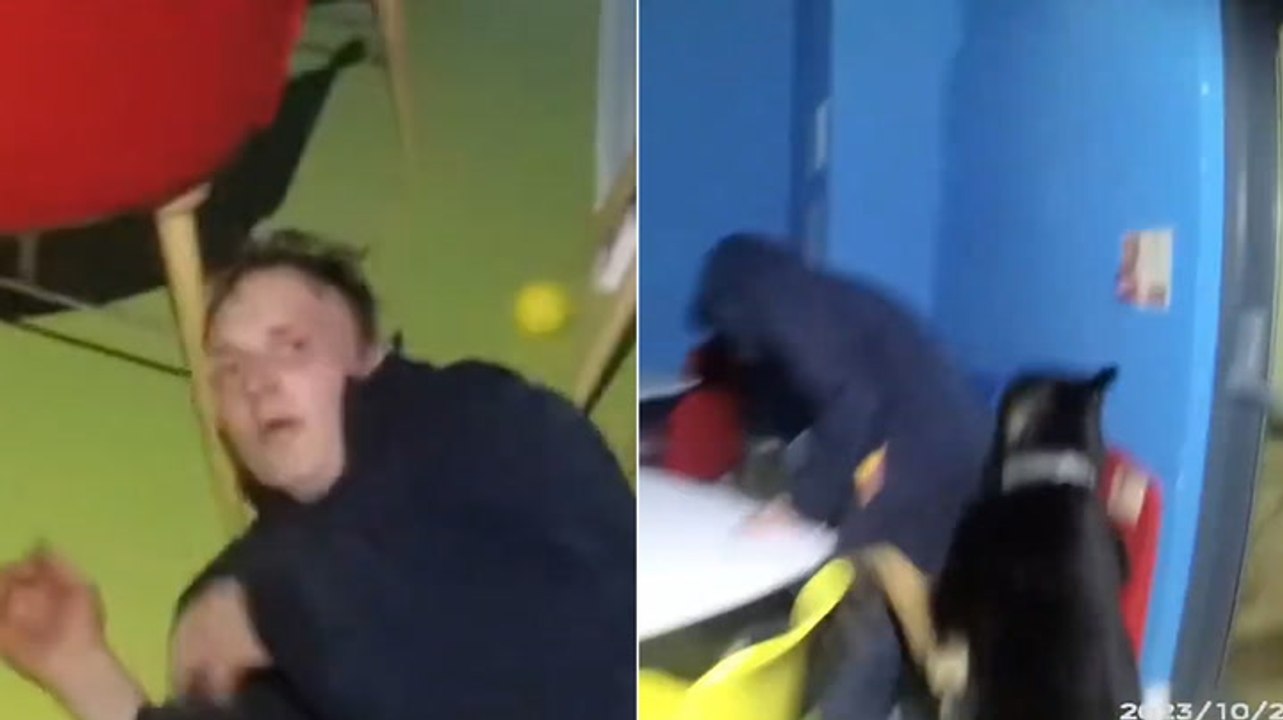 Watch police dog hunt down bungling burglar hiding in children’s soft play area