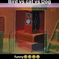 lonely toon new funny video ,bird vs cat vs dog #funny #cartoon #comedy #entertainment#funnyvideos #funnycartoon #lonelytoons thank you.