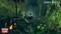 Dark Souls Remastered 5 Jardin tenebroso - Como farmear de lo lindo