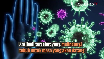 Dear Orang Tua, Ini lo Alasan Bayi dan Anak Wajib Imunisasi Lengkap | SINAU