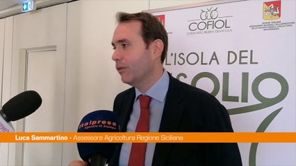 Sammartino “Olio siciliano registra una qualità straordinaria"