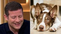 This Morning’s Dermot O’Leary struggles to keep straight face during discussion on dogs ruining sex life