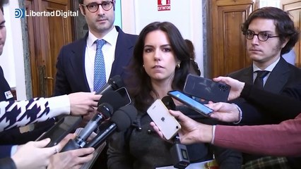 El "demoledor" informe contra la amnistía hace que Vox pida su paralización