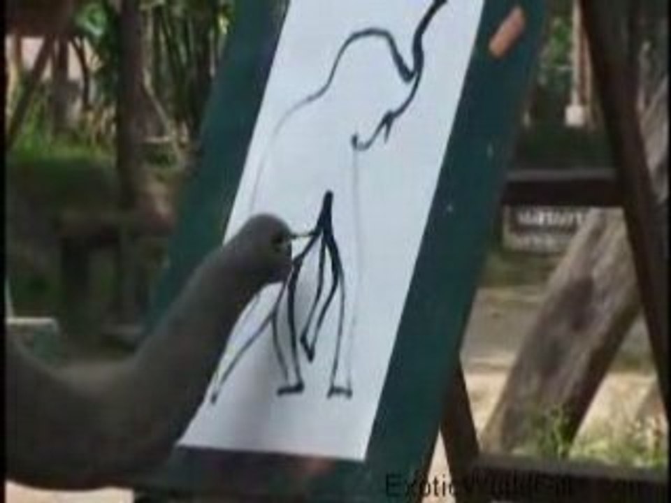 Un éléphant peint un autoportrait