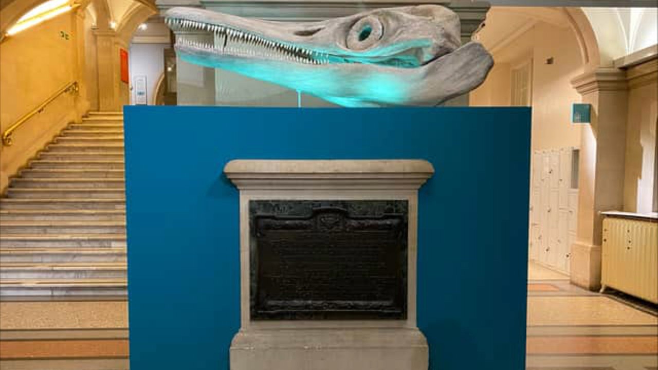 An ancient giant sea dragon fossil moves to Bristol: What are the top five news stories this week?