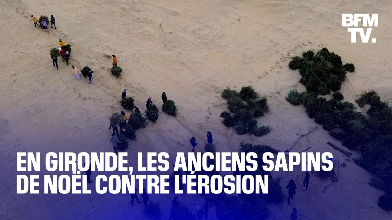 TANGUY DE BFM - En Gironde, les anciens sapins de Noël servent à lutter contre l'érosion des dunes