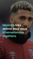 Mercato très animé pour deux internationaux algériens