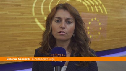 Medio Oriente, Ceccardi "Hamas si arrenda"