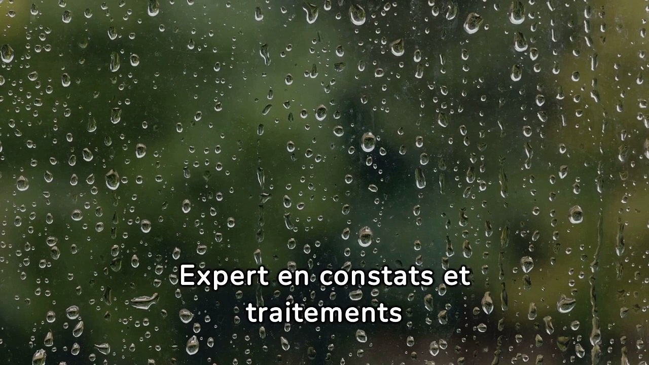 entreprise de traitement d'humidité à Aumetz  - Soshumidite -
