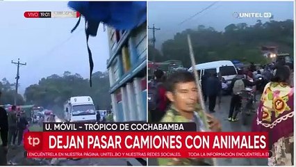 De manera excepcional, bloqueadores en Locotal dieron paso a vehículos con ganado faneado y animales vivos
