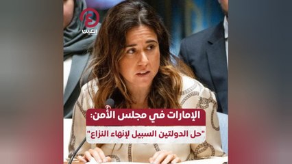 الإمارات في مجلس الأمن: "حل الدولتين السبيل لإنهاء النزاع"