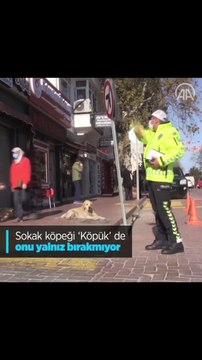 Biraz ilgi, biraz şefkatle oluşan dostluk ve polis abimizle beraber mesai yapan köpük