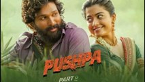 Pushpa 2 movie 2023 / bollywood new hindi movie / A.s channel