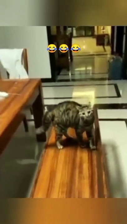 So cute