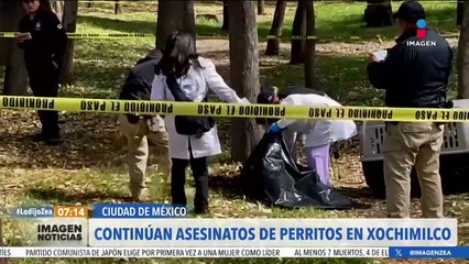 Siguen los asesinatos de perritos en el Bosque de Nativitas