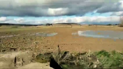 La crecida de los ríos inunda tierras de cultivo en la Ribera.