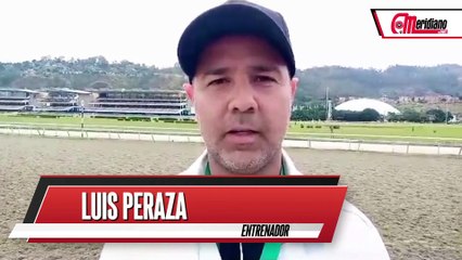 Hipismo: Luis Peraza, Entrenador.